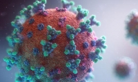 فيروس نيوكوف قد يكون أكثر فتكا من كورونا يثير رعب العالم من جديد