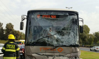 اصابة متوسطة و17 اصابة طفيفة في حادث بين حافلة وشاحنة
