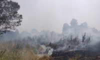 اندلاع حريق كبير في منطقة حرشية بمحاذاة مجد الكروم