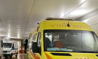 اصابة 4 شبان بجراح خطيرة متوسطة خلال شجار في مدينة نتانيا