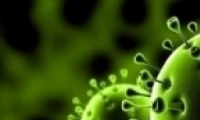منظمة الصحة تتوقع ظهور متحورات جديدة لفيروس كورونا